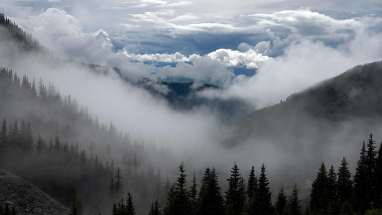 Type‑Safe Event Bus in TypeScript with RxJS: A Practical Guide