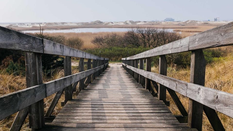 Harnessing JavaScript Proxies for Type‑Safe Metaprogramming & Validation in Next.js