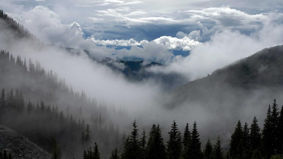 Type‑Safe Event Bus in TypeScript with RxJS: A Practical Guide