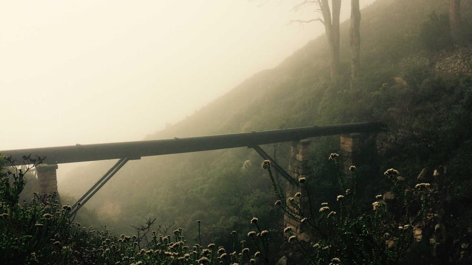 Type‑Safe Observability in Next.js: Harnessing OpenTelemetry with TypeScript